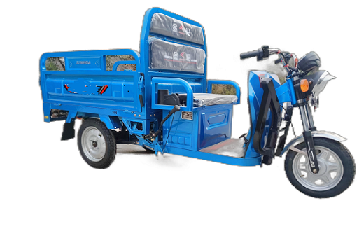 Triciclo di carico